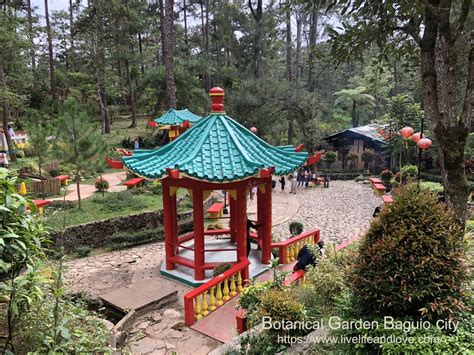 baguio botanical garden directory|Baguio Botanical Garden: All You Need to Know .